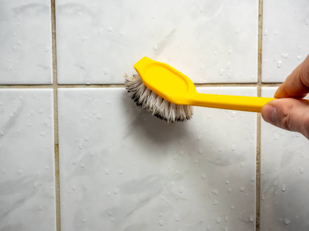 Best Mold Testing  in Irvine, CA
