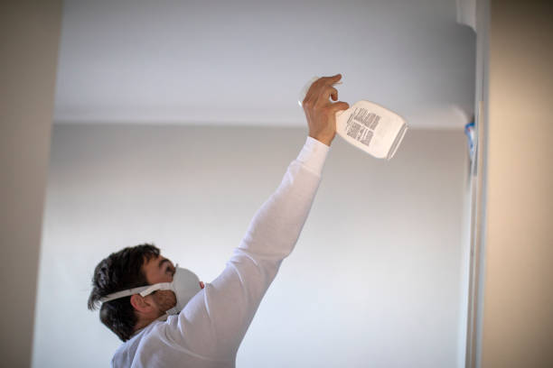 Best Local Mold Removal Service  in Irvine, CA
