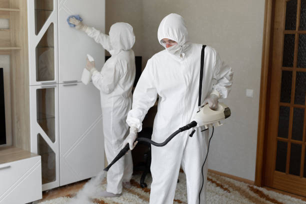 Best Residential Mold Removal  in Irvine, CA