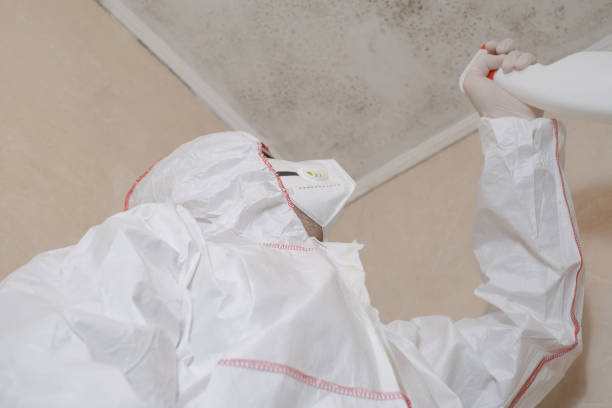 Best Mold Testing and Removal  in Irvine, CA