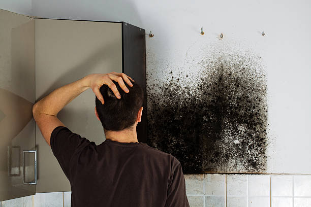 Best Office Mold Removal Services  in Irvine, CA